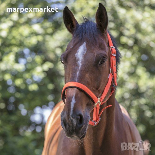 Цветни оглавници за коне - Colors, снимка 1