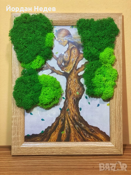 Картина от Скандинавски мъх , снимка 1