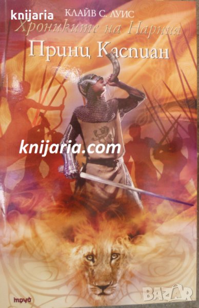 Хрониките на Нарния книга 4: Принц Каспиан, снимка 1