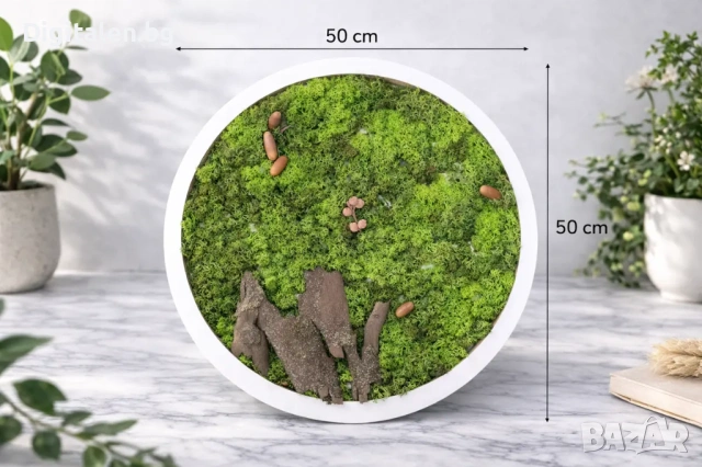 Луксозна Голяма Кръгла Жива Картина - Скандинавски Мъх и Природни Декори Ф50 см
