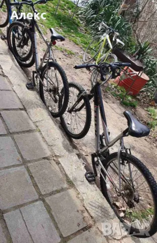 Планински велосипеди, мъжки и женски