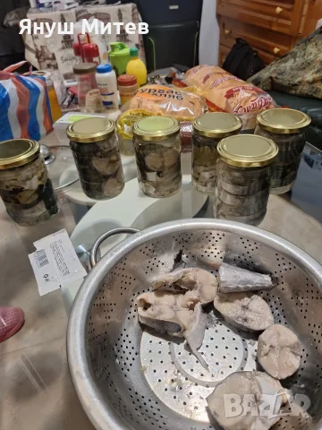 Мариновани риби, снимка 10 - Зимни спортове - 55774687
