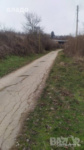 Осиково дворно място с къща, снимка 4 - Къщи - 35534250