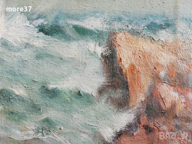 2 Картини-Море и Кукери, снимка 13 - Картини - 53942653