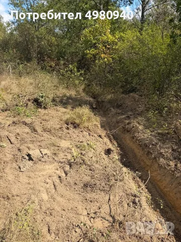 Почистване Дърводобив и Др, снимка 7 - Други - 56535230