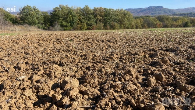 10 Декара Земеделска земя област Варна - Рента 100 лева - Цена 2390/дка, снимка 3 - Земеделска земя - 52516373