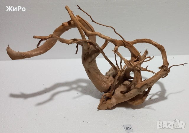 Корен от Азалия /декорация/ 68