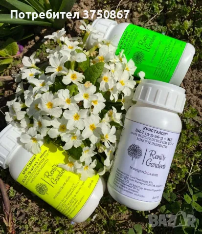 🌹 ВОДОРАЗТВОРИМИ ТОРОВЕ 🌹