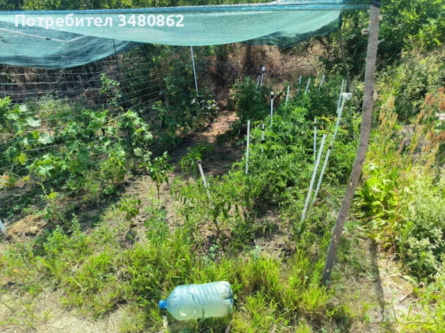 парцел  – м-т Планова, Варна, снимка 4 - Парцели - 51015781