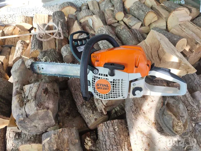 Бензинов моторен трион STIHL MS 251