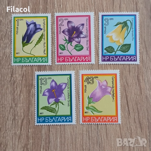 България 1977  Планински цветя (семейство "Камбанкови").