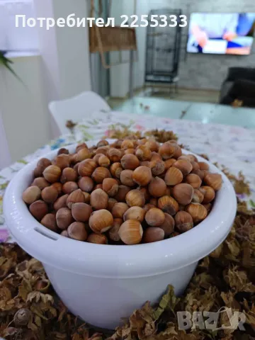 Продавам лешникова градина, снимка 13 - Земеделска земя - 48766274