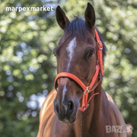 Цветни оглавници за коне - Colors