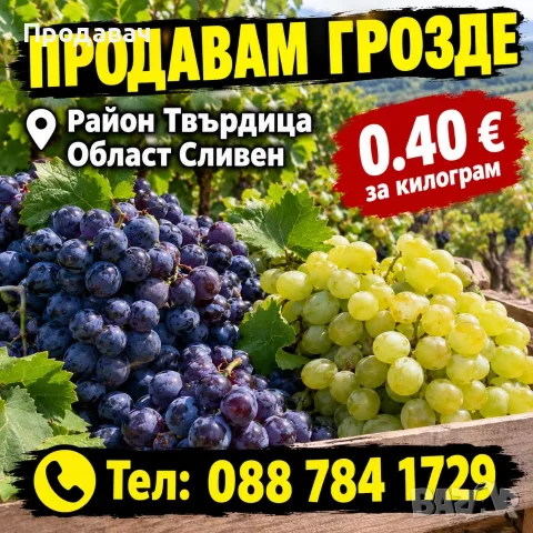 Продавам грозде за вино и ракия район Твърдица