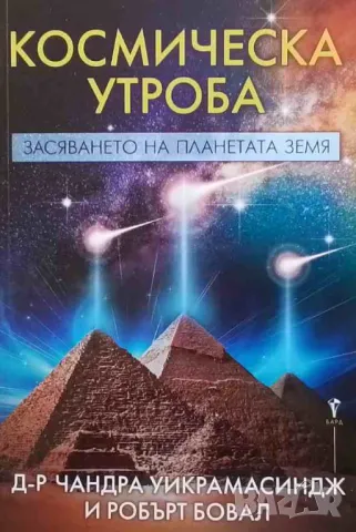 Космическа утроба
