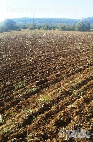 търся земеделска земя Черганово