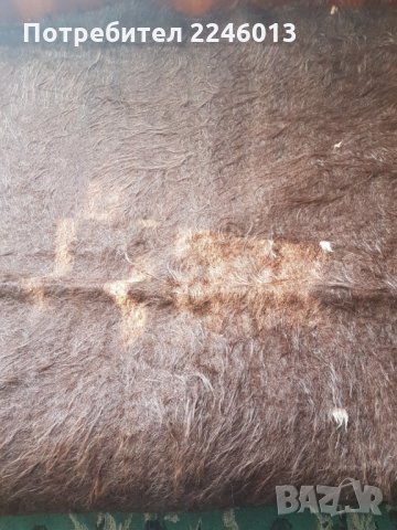 Козяци, снимка 3 - Други - 30149735