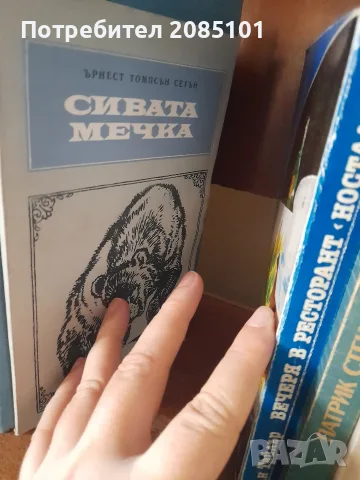 книги книги книги3, снимка 7 - Художествена литература - 56457046