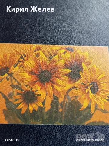 Старо календарче 90г. серия цветя много красиво за КОЛЕКЦИЯ ДЕКОРАЦИЯ 12072, снимка 3 - Колекции - 51223740