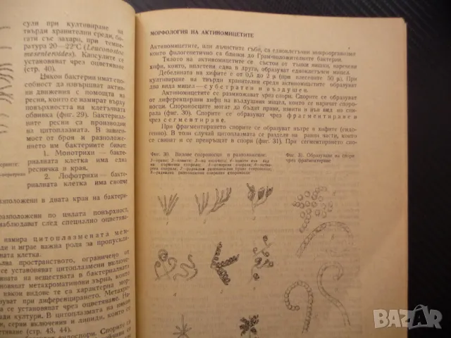 Ръководство за упражнения по микробиология морфология ферментация, снимка 3 - Специализирана литература - 48204580