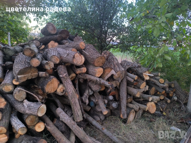 Дърва за огрев, снимка 4 - Дърва за огрев - 52809288