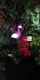 LED Соларна лампа Фламинго,водоустойчива IP65, снимка 11