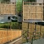 100 броя семена от декоративен бамбук Moso Bamboo зелен МОСО БАМБО за декорация и дървесина, снимка 3