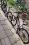 Планински велосипеди, мъжки и женски, снимка 1