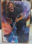 Dave Grohl-метална табела (плакет), снимка 1