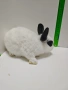 Мини зайчета джуджета , снимка 11
