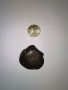 Meteorite Achondrite Gem Gemstone , снимка 5