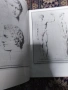 учебник по рисуване , снимка 2