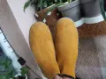 Дамски боти Gabor 38 н. , снимка 13