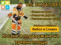 Косене на трева.Градинарски услуги.Ямбол и Сливен, снимка 1