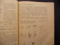 Ръководство за упражнения по микробиология морфология ферментация, снимка 3