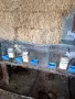 Продавам клетки за зайци, снимка 2