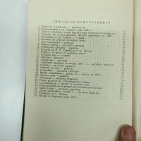 П.Р.Славейков - съчинения том 1 , снимка 8 - Българска литература - 42821163