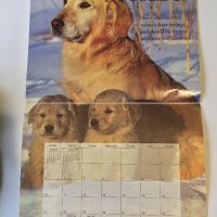 Стенен календар 2006 IFAW Animal Sanctuary Fund, снимка 16 - Други - 38776709