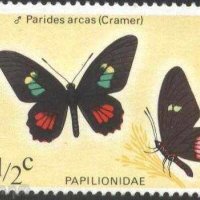 Чиста марка Фауна Пеперуда 1974 от Белиз , снимка 1 - Филателия - 38930108