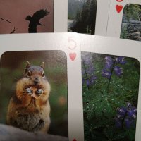 Три комплекта КАРТИ за БЕЛОТ; дамски карти за белот, снимка 6 - Карти за игра - 38881113