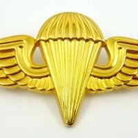 Парашутни значки-Парашутисти-Военни знаци-ВВС-Рейнджъри, снимка 16 - Колекции - 40047710