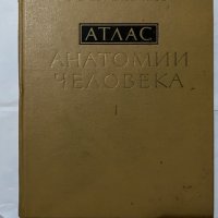 Атлас Анатомия Человека-1978 т.1 Синелников, снимка 1 - Специализирана литература - 31180539