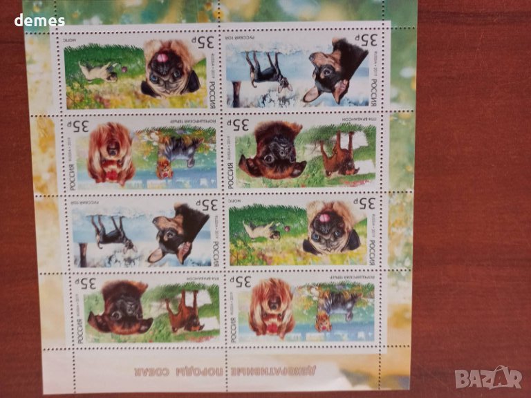 Блок марки Декоративни породи кучета, 2019, минт, снимка 1