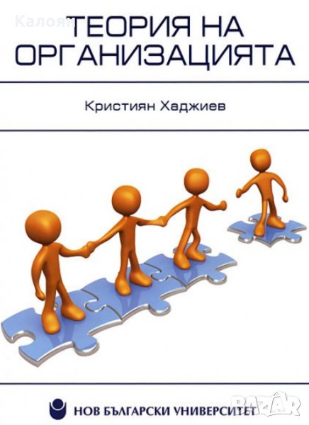 Кристиян Хаджиев (НБУ 2011) - Теория на организацията, снимка 1
