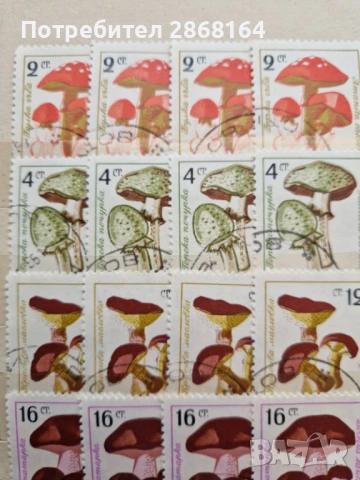 Редки пощенска марки, снимка 3 - Филателия - 51314715