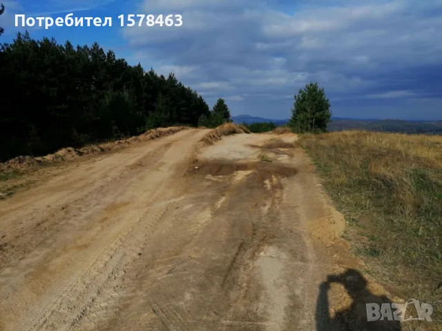 Продавам иглолистна гора-до язовир, снимка 5 - Земеделска земя - 56130658