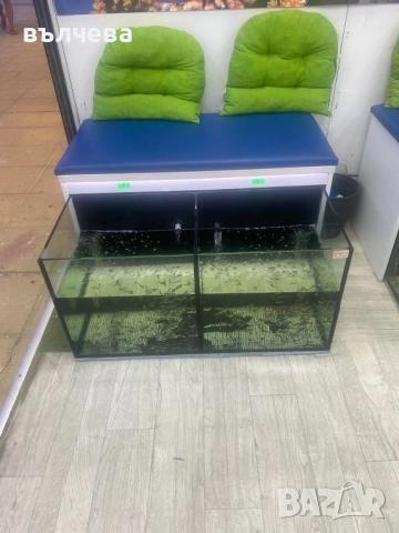 Продавам сквариуми за фиш спа, снимка 2 - Оборудване за магазин - 53981421
