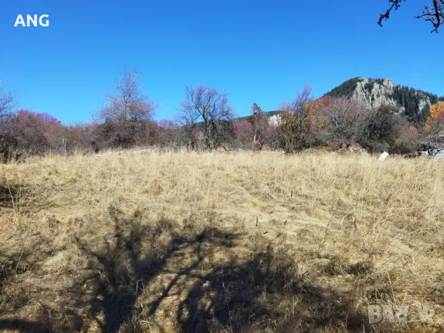 Продава панорамен парцел Смолянски езера , снимка 10 - Парцели - 48047132