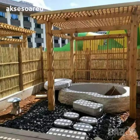 100 броя семена от декоративен бамбук Moso Bamboo зелен МОСО БАМБО за декорация и дървесина, снимка 18 - Сортови семена и луковици - 37711749