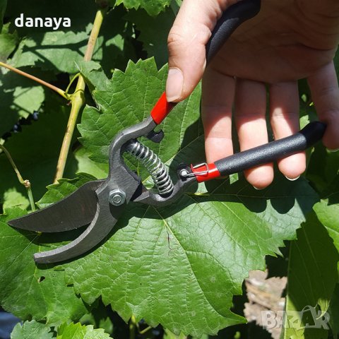 1292 Лозарска ножица 8 инча, снимка 3 - Градински инструменти - 29691743